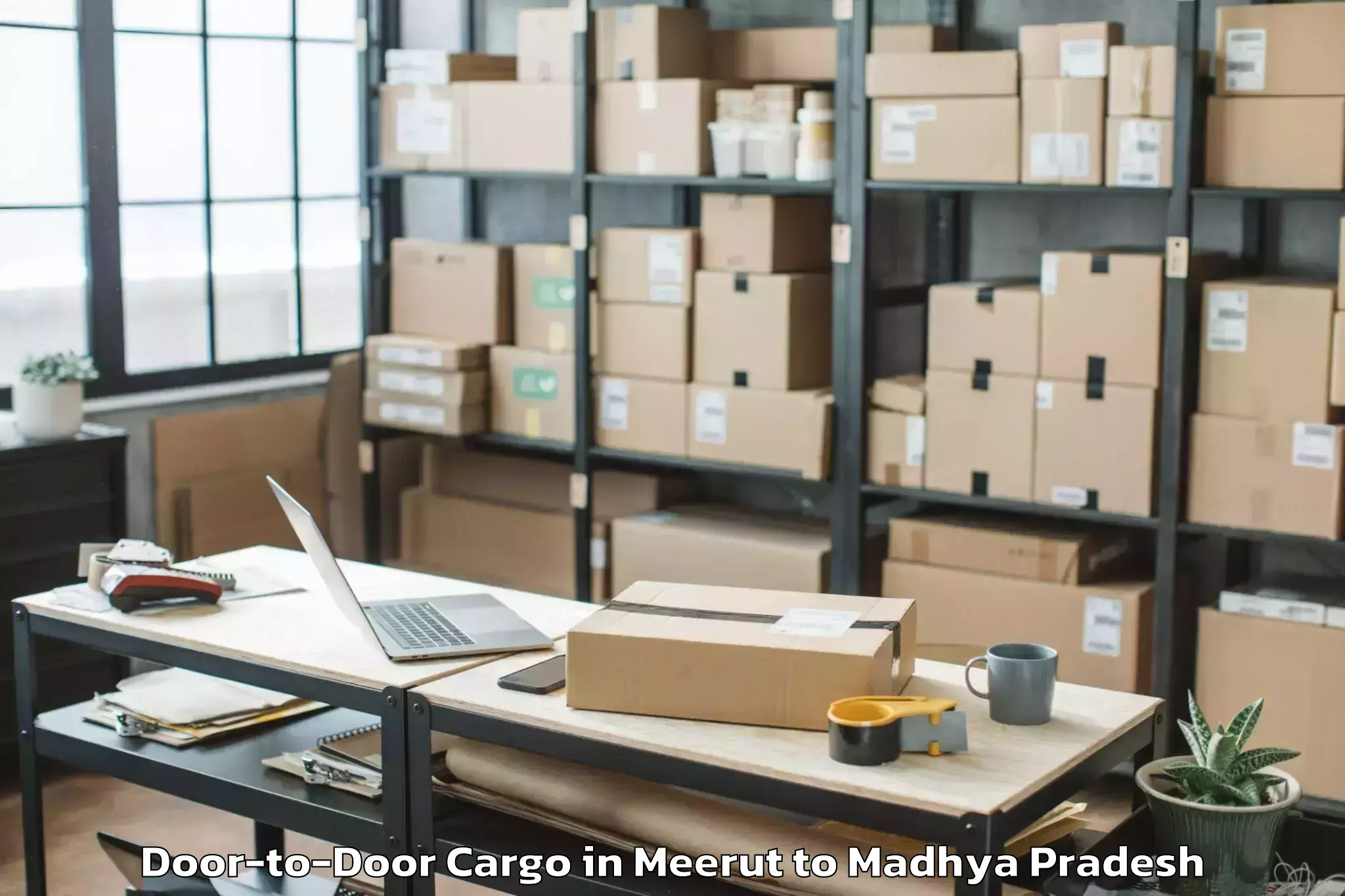 Easy Meerut to Garh Rewa Door To Door Cargo Booking